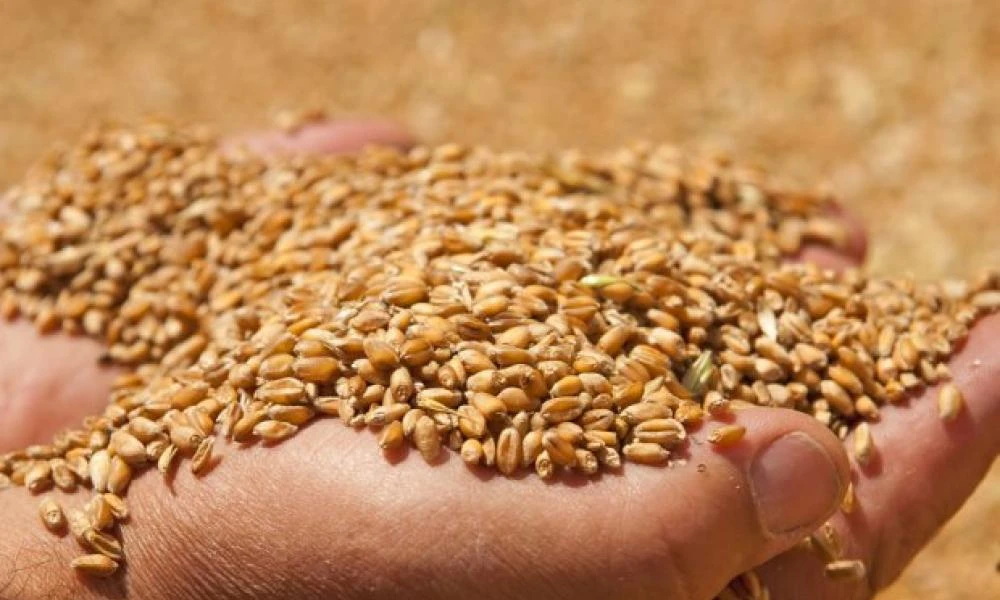 Μπανγκλαντές: Στρέφεται στη Ρωσία για αγορά σιτηρών
